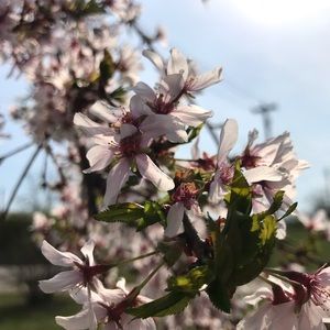 Meet your Posher, Elena